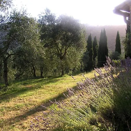 Sleeps 2 Pool Wifi T762456 Apartmán